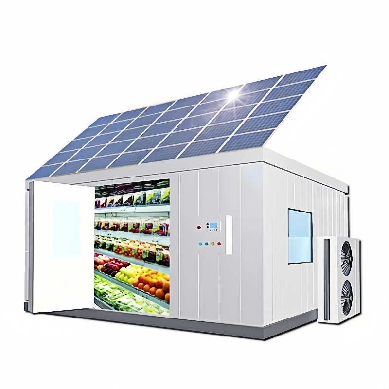 Farming Africa - Solar Walk in Cold Storage Room