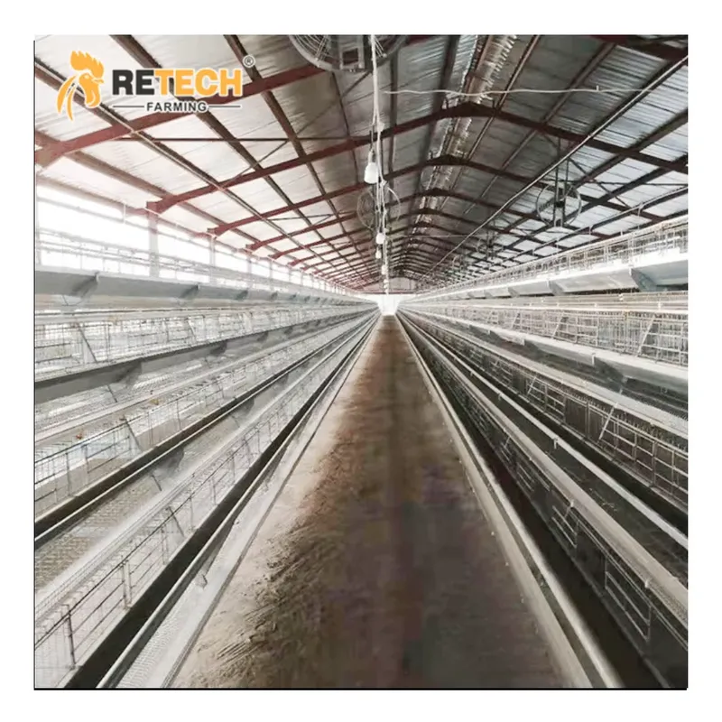 Automatic Layer Chicken Cage A - Farming Africa 评论和价格