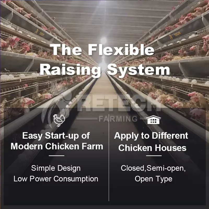 Automatic Layer Chicken Cage A - Farming Africa 评论和价格