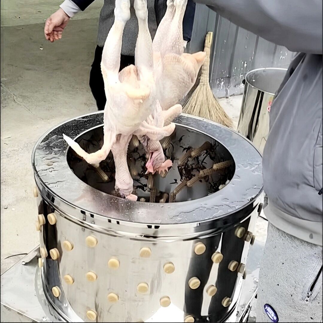 Poultry Hair Remover for Farms - Farming Africa 评论和价格
