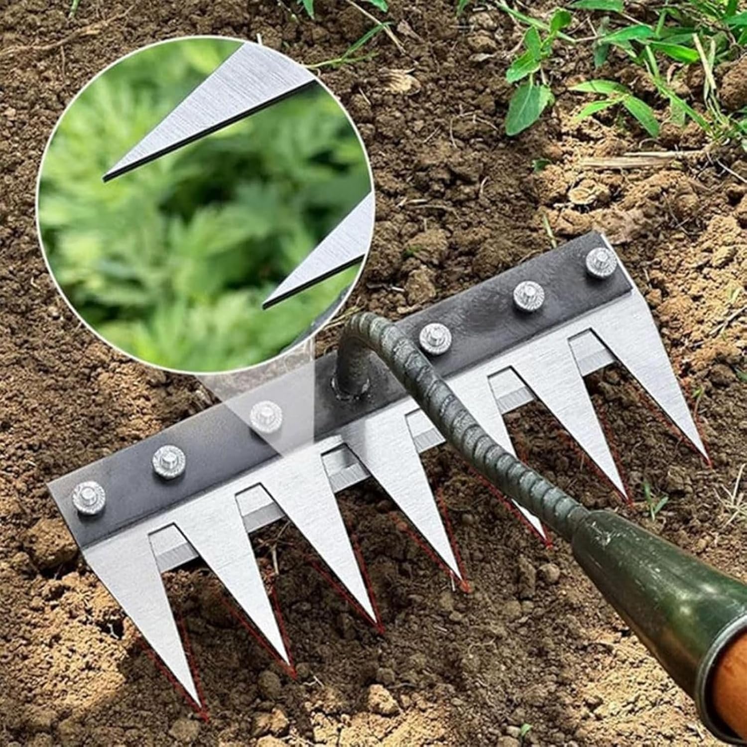 5/6/7/8 Teeth Metal Rake Garde - Agriculture Farming Hand Tools 评论和价格