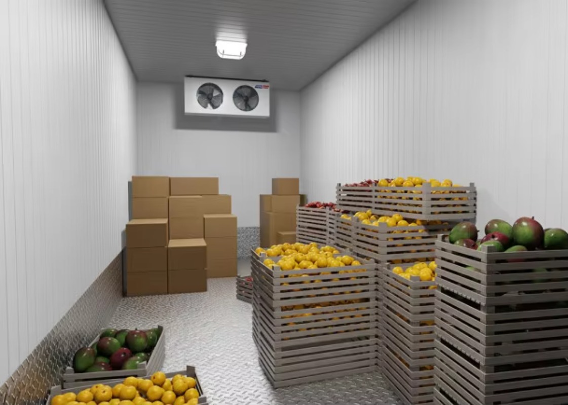 Solar Walk in Cold Storage Roo - Farming Africa 评论和价格