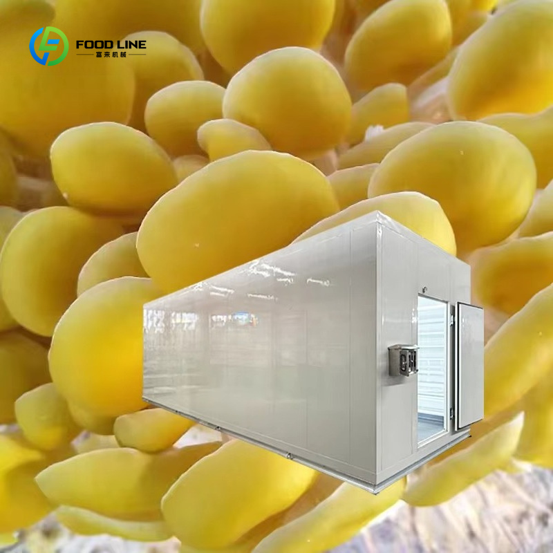 Smart Mushroom Growing Capsule - Smart Farming Technology In Agriculture 评论和价格
