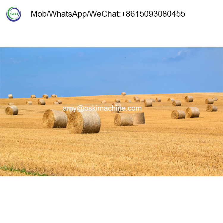 Automatic Silage Packing Bundl - Silage Baler Machine 评论和价格