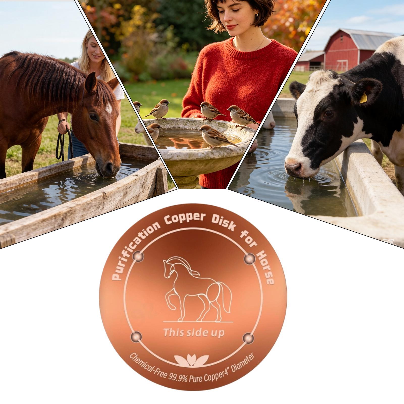 4 Inch Copper Purifier Cow Wat - Farming & Agriculture Word Stacks 评论和价格