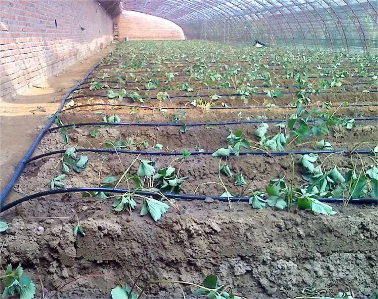 1HA Irrigation Kit Agricultura - Agriculture Farming Hand Tools 评论和价格
