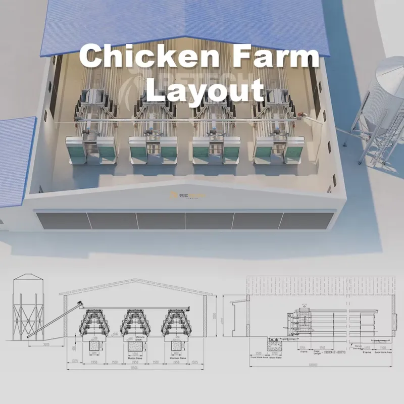 Automatic Egg Layer Chicken Ca - Farming Africa 评论和价格