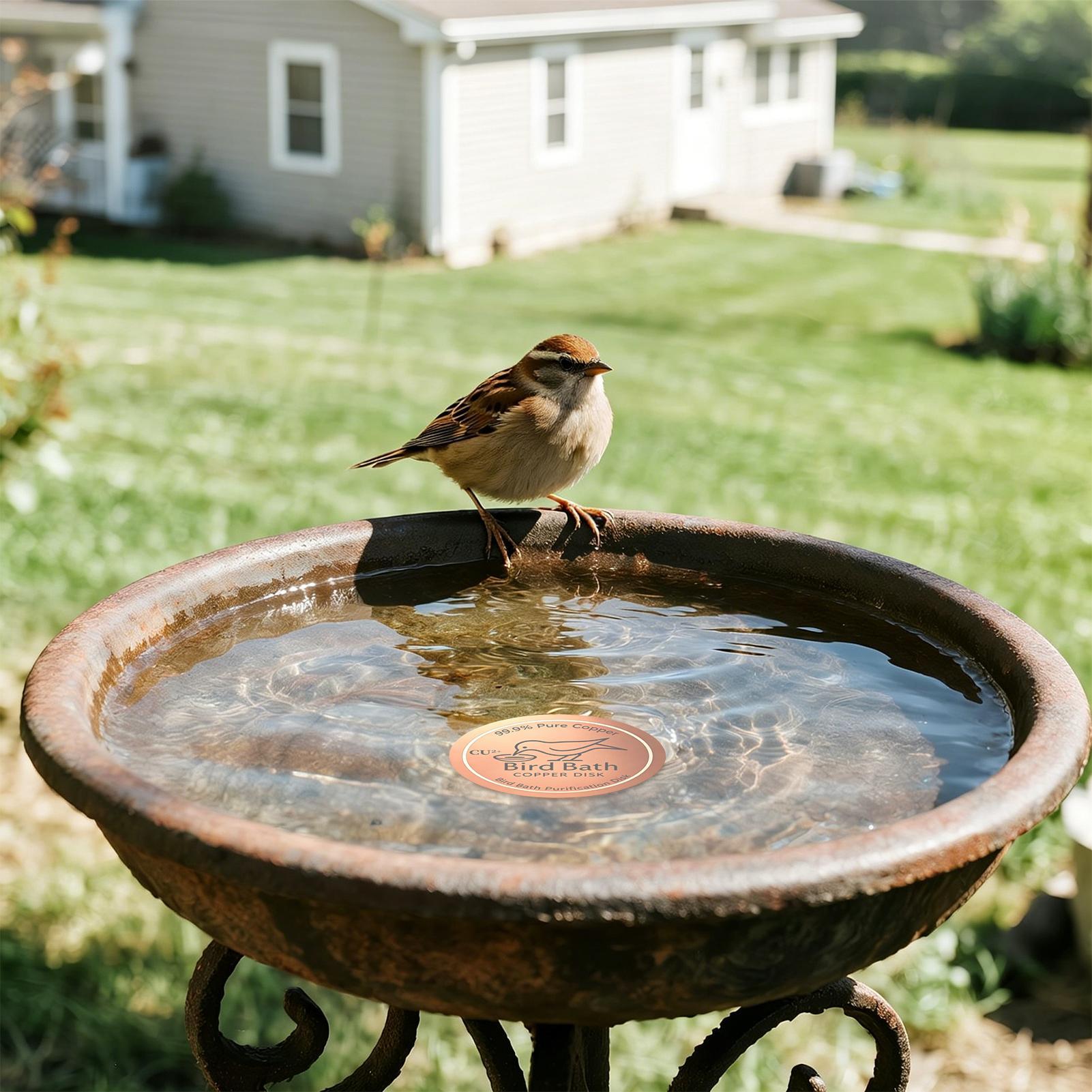 Copper Disc for Bird Bath 0.6m - Farming & Agriculture Word Stacks 评论和价格
