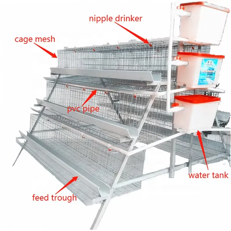 H Type Layer Cages for Poultry - Farming Africa 评论和价格