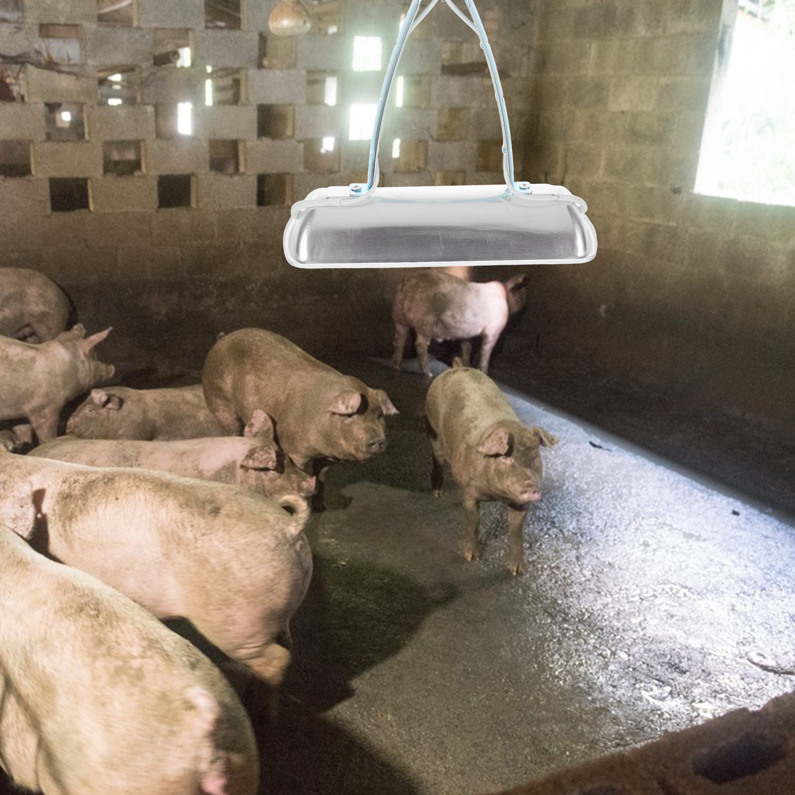 Pig Farm Preservation Lamp Chi - Farming & Agriculture Word Stacks 评论和价格